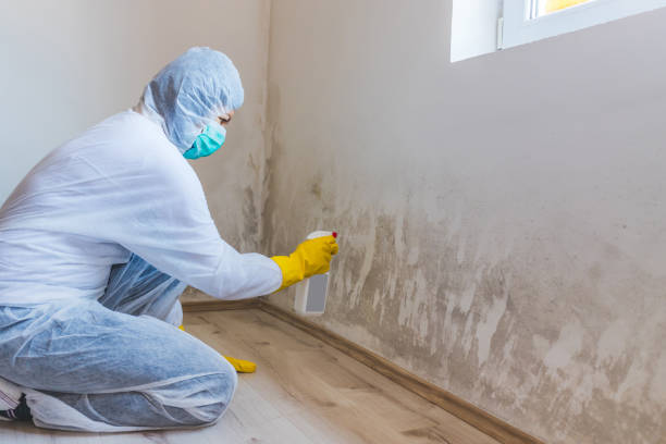 Licensed Crawl Space Mold Removal service in Freeport, PA - WQB Mold Removal