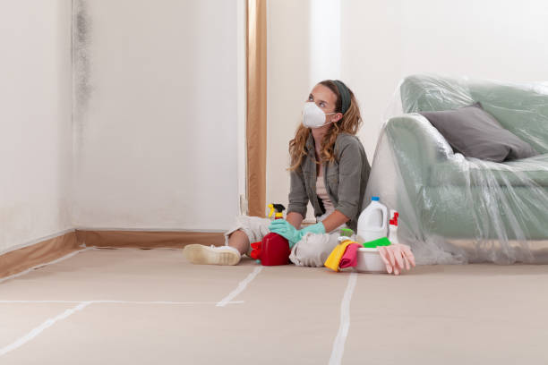Reliable Crawl Space Mold Removal contractor in Freeport, PA by WQB Mold Removal